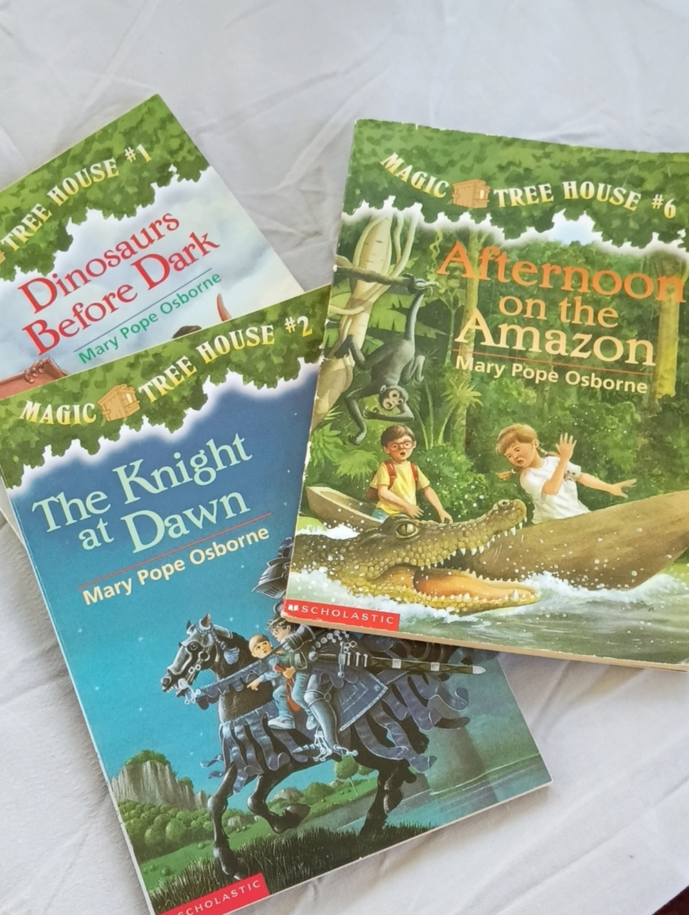 Set Of Three Magic Tree House Books